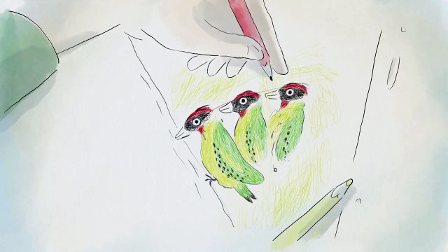 A vol d'oiseaux Bande-annonce VF