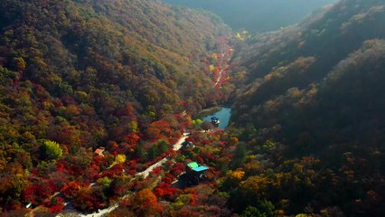 [부산] '한국관광 100선'에 부산지역 명소 8곳 선정 / YTN