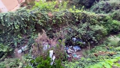 FLOP MARGHERITA, AMATA CHIEDE LUMI