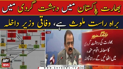 India involved in all sort of terror activities in Pakistan: Rana Sanaullah