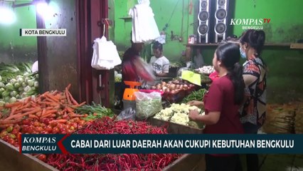 Cabai Dari Luar Daerah Akan Cukupi Kebutuhan Bengkulu