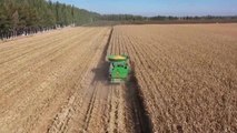 Çin'in İç Moğolistan Özerk Bölgesi Rekor Tahıl Üretimi Bildirdi