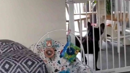 Sweet big sister gets weepy after meeting her baby brother for the first time