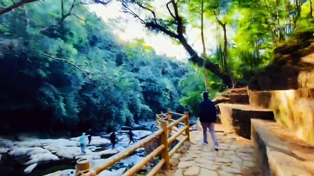 Living root bridge meghalaya | meghalaya travel videos | places to visit in northeast