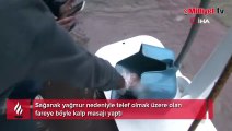 Sağanak yağmurda kalan fareye kalp masajı yaptı