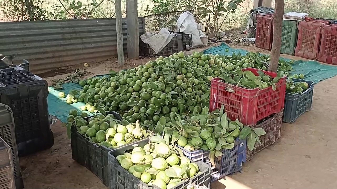 सुनो सरकार! 37 साल बीते लेकिन नहीं लगी प्रोसेसिंग यूनिट