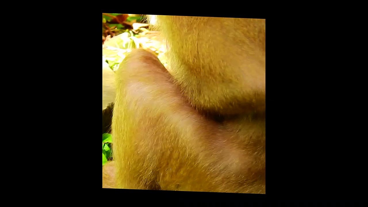 SO SAD AND SO HUNGRY...Rainbow why not take me..!!