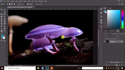 To make selection Using The Lasso Tool In Photoshop Bangla Tutorial ||Photoshop Tutorial ||EP-4