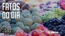 Saiba quais frutas ficam mais baratas no período chuvoso do Pará