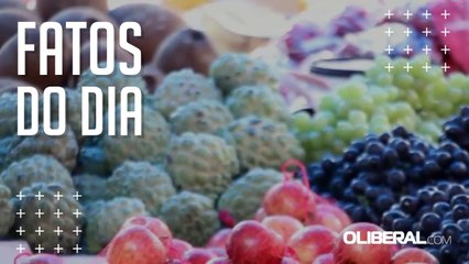 Saiba quais frutas ficam mais baratas no período chuvoso do Pará