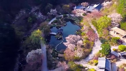 Alan Walker - The Spectre Marimba cover