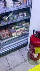 Graban a ratón “degustando” los quesos de un supermercado