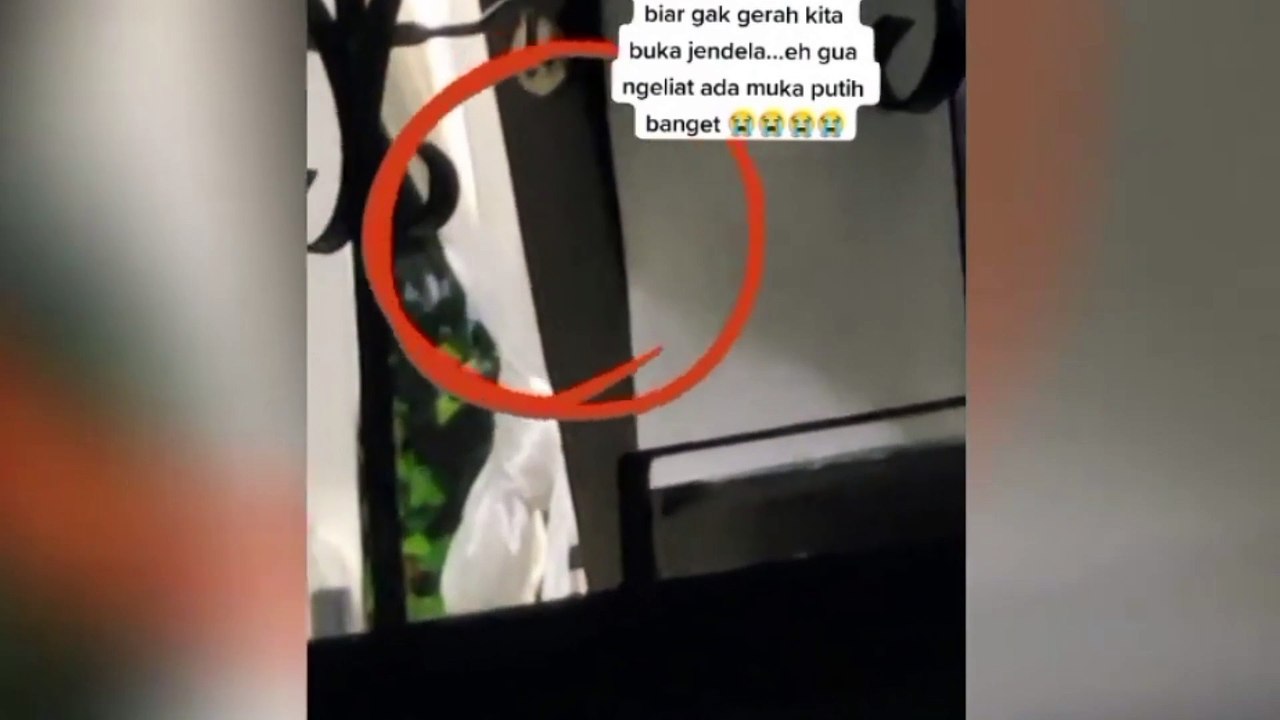 Muka pucat' nongol di jendela