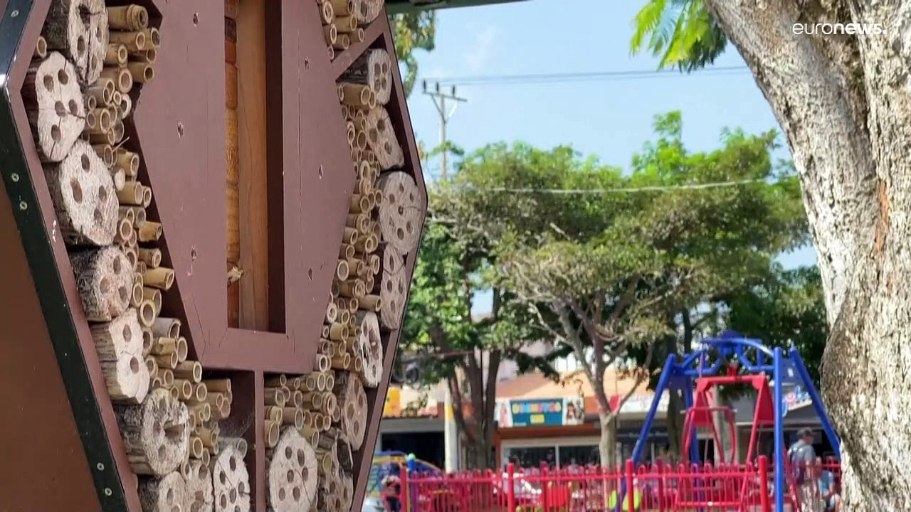 Bienenhotel in Costa Rica: Artenschutz in bester Lage