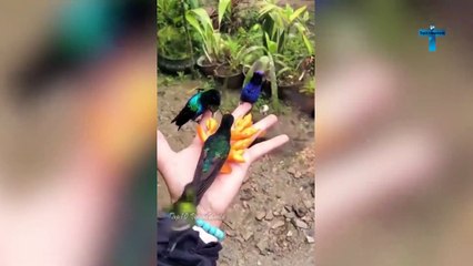 Top 13 Minutes of Unbelievable Moments Caught On Camera