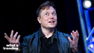 Elon Musk Trends After Being Humiliated On Stage