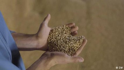 Der Ukraine-Krieg bedroht die Existenz der Bauern