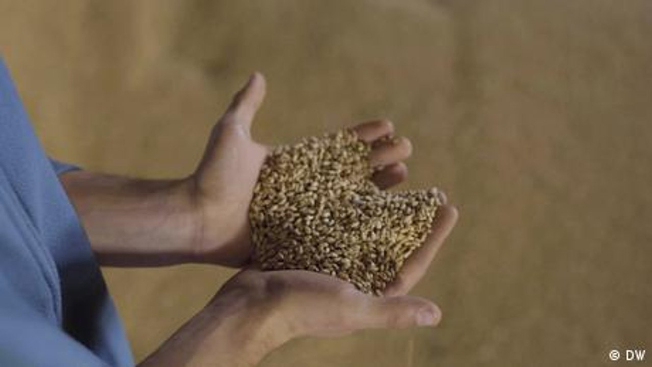 Der Ukraine-Krieg bedroht die Existenz der Bauern