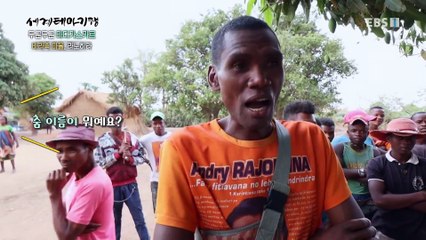 세계테마기행 - 두근두근, 마다가스카라- 7번 국도 따라, 풍경 맛집_#002