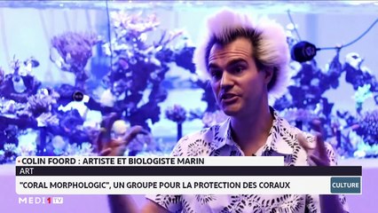 Chronique Culture du 12-12-2022 📰