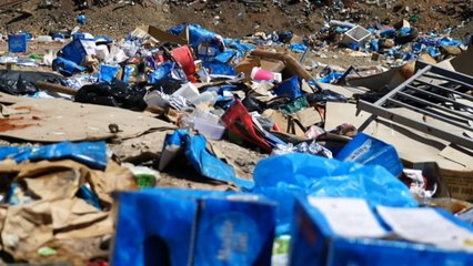 Elders in remote Western Australia return to country thanks to biomedical innovation