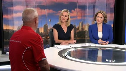 New South Wales faces Christmas tree shortages due to record-breaking wet weather