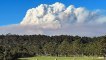 Western Australia's Environment Minister facing criticism over fire burning practices which triggered widespread bushfire this year