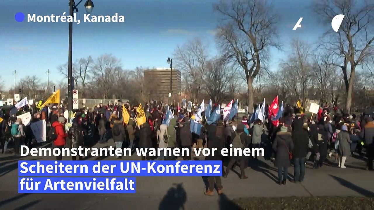 Aktivisten warnen vor Scheitern der Verhandlungen zum Schutz der Artenvielfalt