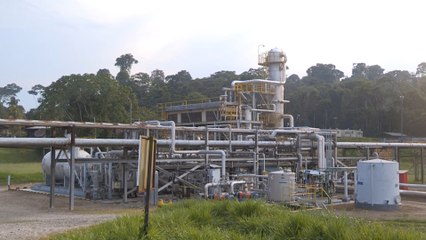 Ecuador enun momento crucial  ante futuro de campos por petrolera y cuidado de naturaleza