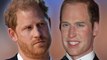 Prince Harry Claims The Royal Family Was ‘Happy To Lie To Protect’ Prince William In New Trailer