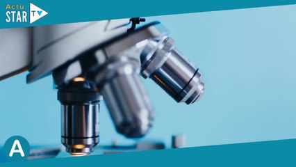 Notre top 3 des jeux scientifiques à offrir pour Noël