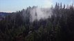 Droughts Responsible For 1.1 Million Acres of Dead Trees in Oregon