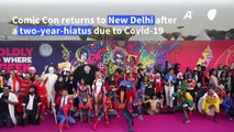 Indian cosplayers and comic book fans at New Delhi's Comic Con