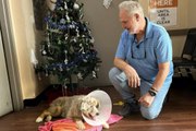 Texas Dog Missing 7 Years Reunites with Family After Pet Is Found Abandoned in a Florida Hotel