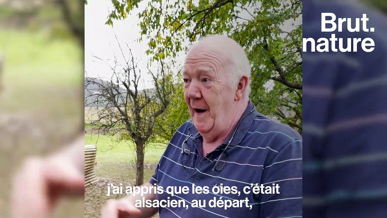 En Alsace, Marcel fait du foie gras sans gavage