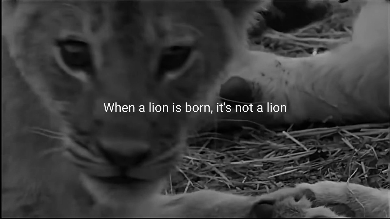 SAVAGE MENTALITY Motivational Speech
