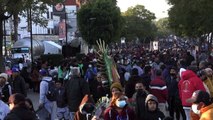 México retoma peregrinación por Día la Virgen de Guadalupe con 11 millones de fieles