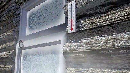 Le flocon de neige : éphémère cristal