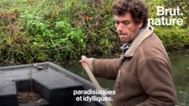 Le Marais poitevin: un écosystème menacé