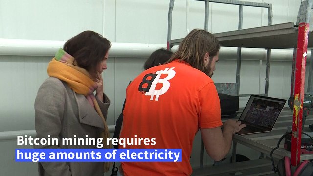 Dutch farm uses Bitcoin mining to grow tulips and save on energy costs