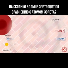 На сколько больше эритроцит по сравнению с атомом золота?