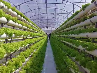 "الليث" على موعد مع افتتاح مشروع الاستزراع المائي للورقيات والثمريات.. الثلاثاء المقبل