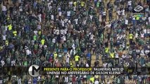 Assista aos melhores momentos de Palmeiras e Linense