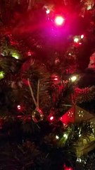 One Tree To Rule Them All