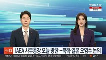 IAEA 사무총장 오늘 방한…북핵·후쿠시마 오염수 논의