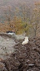 Anak anjingku memperhatikan suami Turki ku menggarap ladang