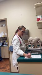 Veterinarian Gets Special Birthday Surprise