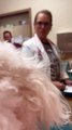Veterinarian Gets Special Birthday Surprise