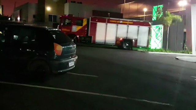 Bombeiros são acionados para recolher cobra pequena