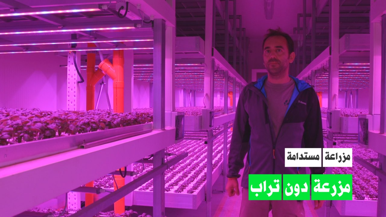 مزارعة دون تراب